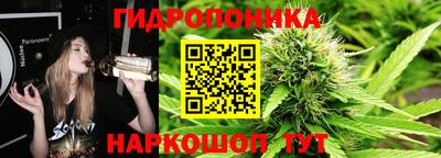 дурь Кингисепп