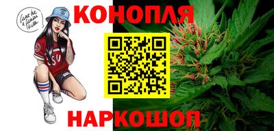 дурь Кингисепп