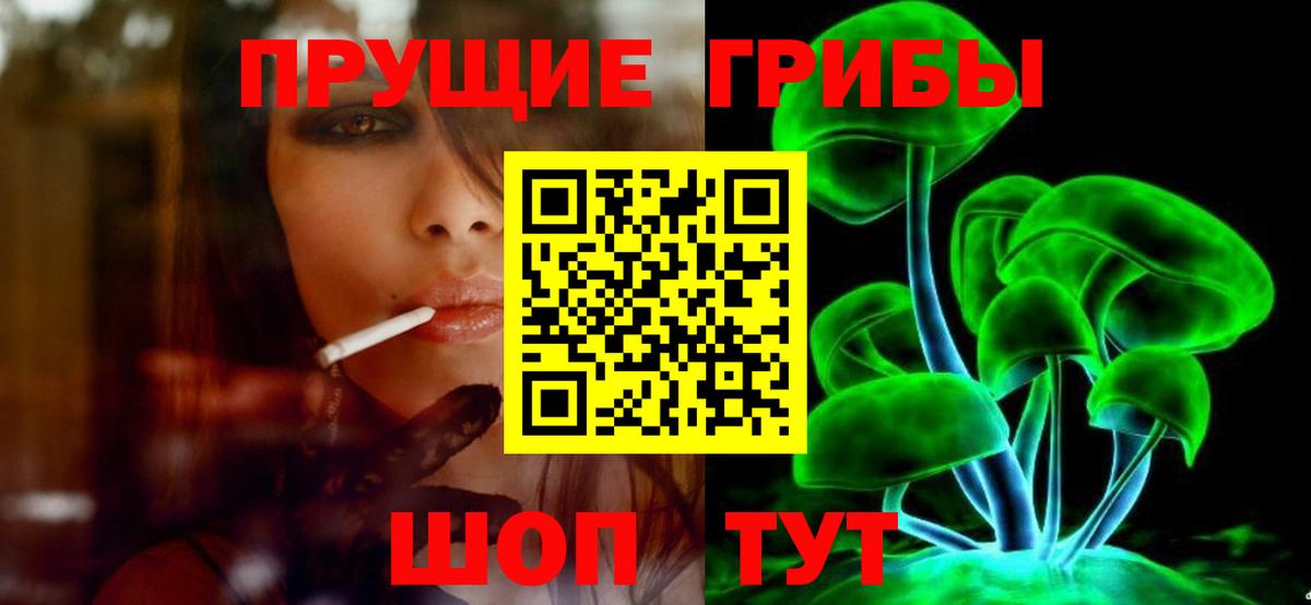 Галлюциногенные грибы Magic Shrooms  Псилоцибиновые грибы GOLDEN TEACHER  Лесозаводск  цены   Вход с VPN 
